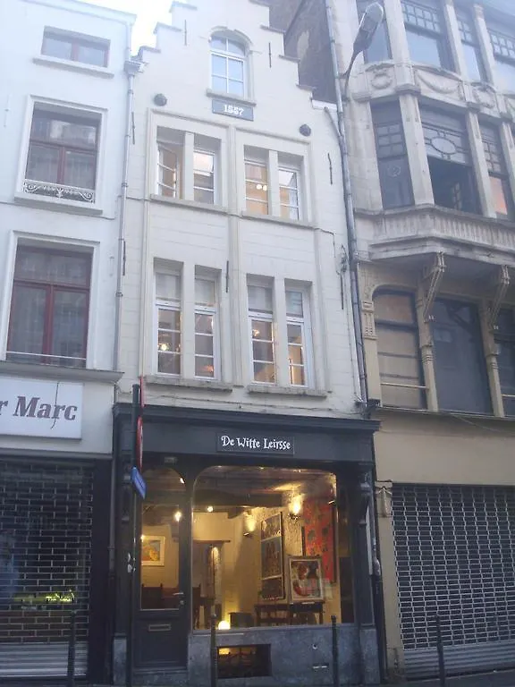 De Witte Leirsse 1557 Villa Brussels Holiday home